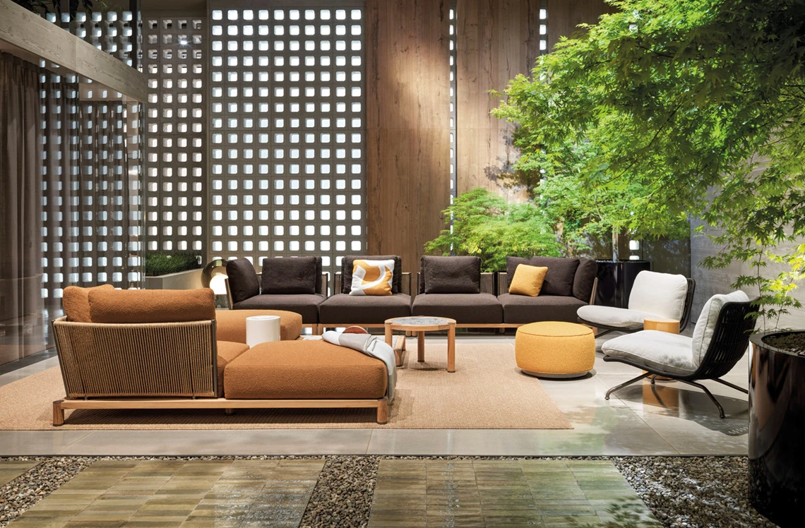 Collection 2024 - 01