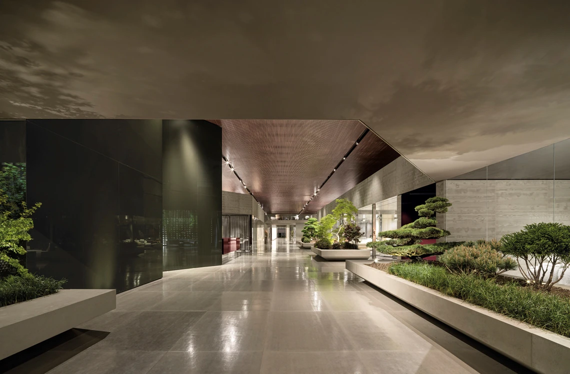 Collection 2024 - 03